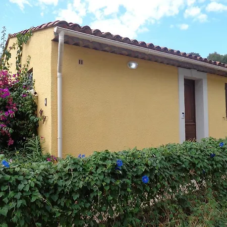 Petra Luna Sainte-Maxime