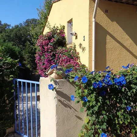 Petra Luna Sainte-Maxime