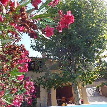 Petra Luna Apartment *