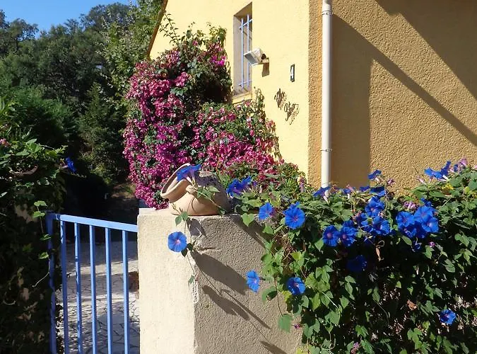 Petra Luna Sainte-Maxime